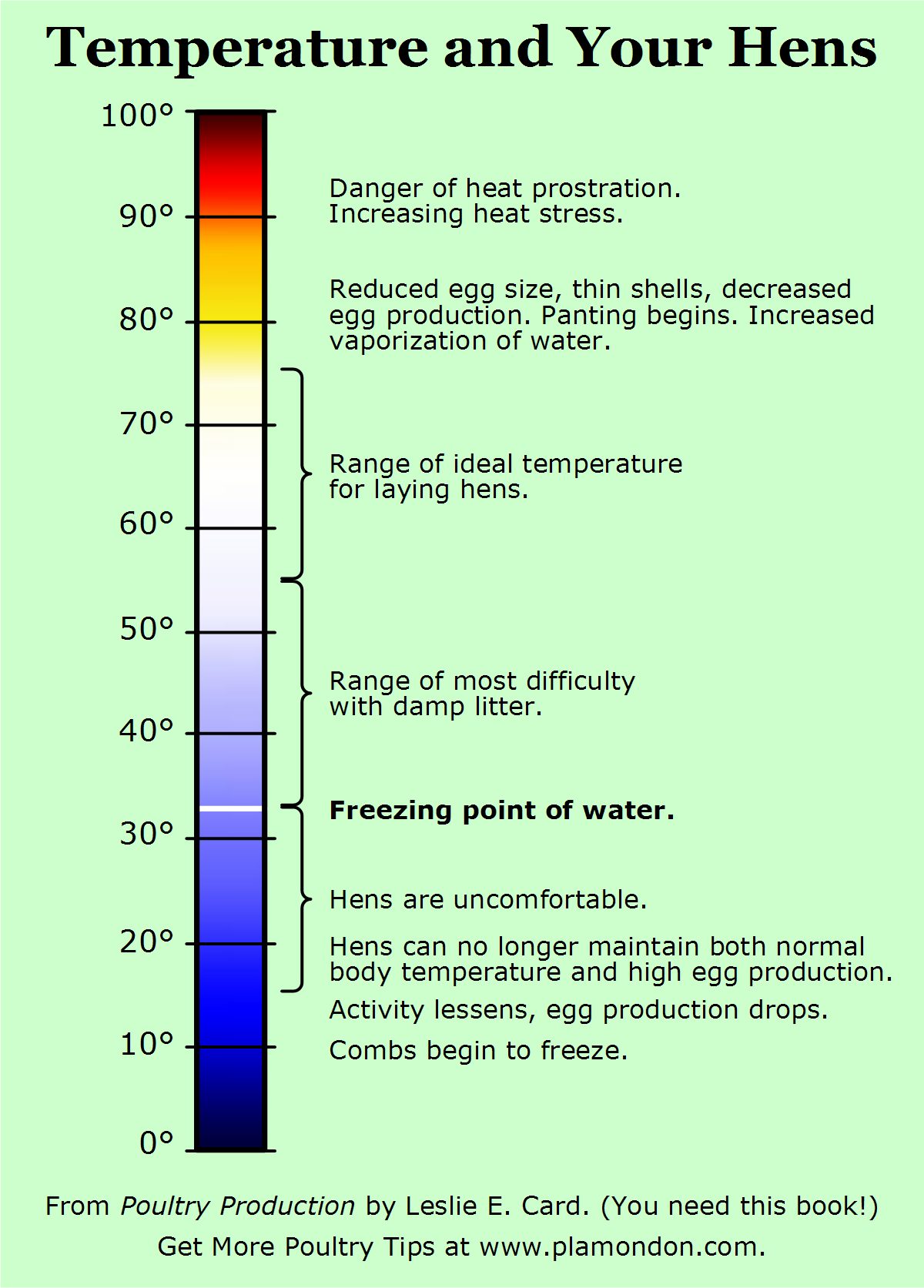 FAQ: Egg Washing - Robert Plamondon's Rural Life